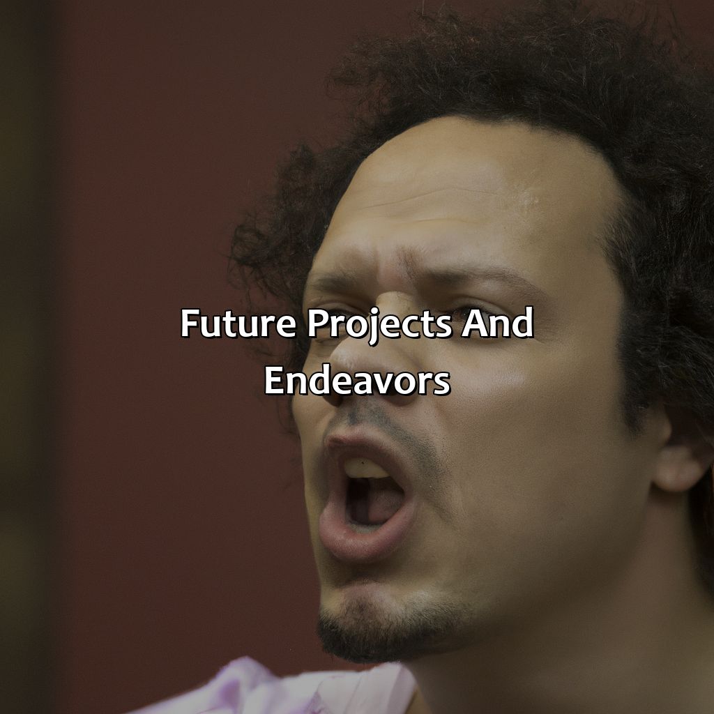Future Projects And Endeavors  - Eric Andre Biography: The Shocking Revelations That Will Change Your Perception Of Them, 